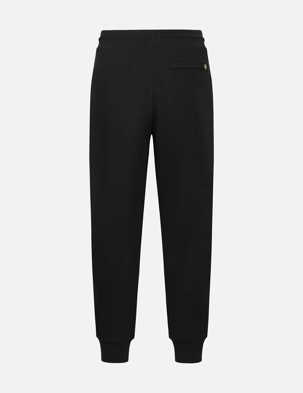 Hummingbird and Magnolia Print Regular Fit Sweatpants