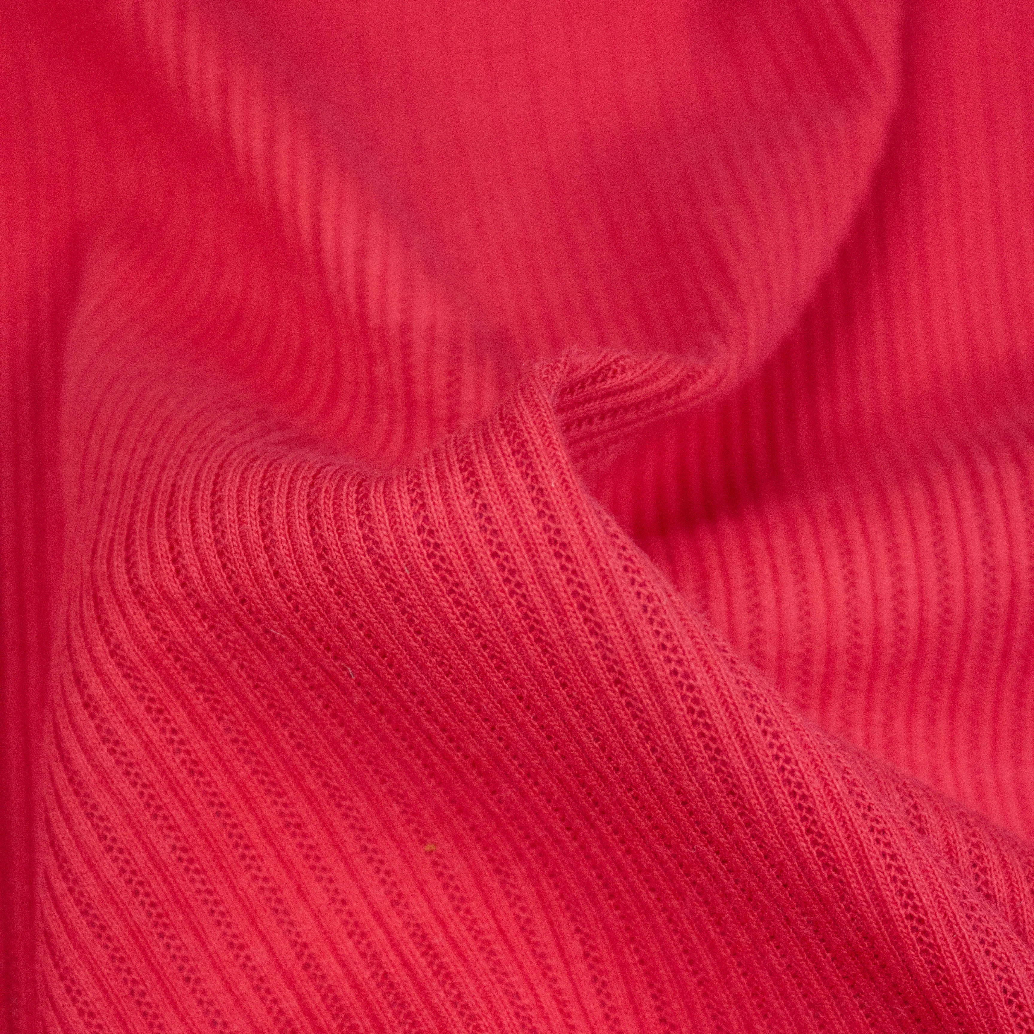 Louis Red Broderie Cotton Rib Jersey